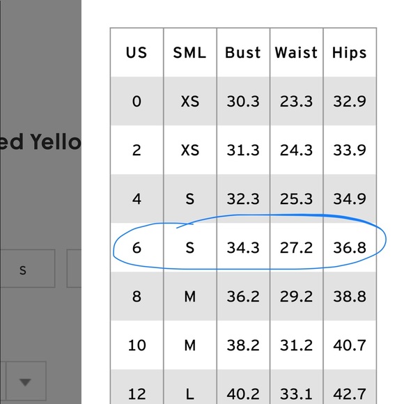 NWT TOPSHOP REVERSIBLE CHEETAH PRINT SWIMSUIT - Picture 7 of 7